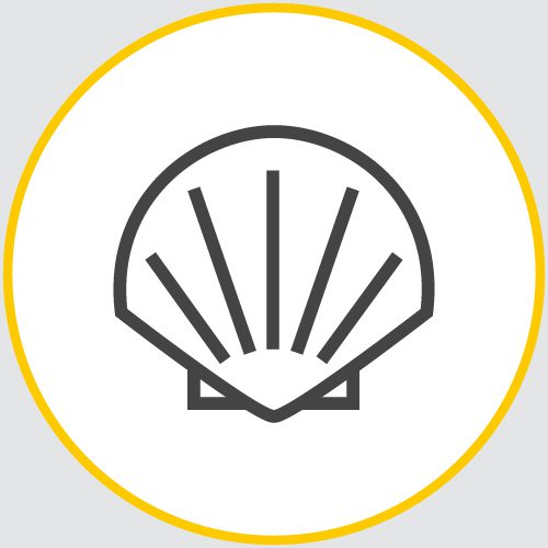a drawing of the outline of a clam or oyster encased in a yellow circle