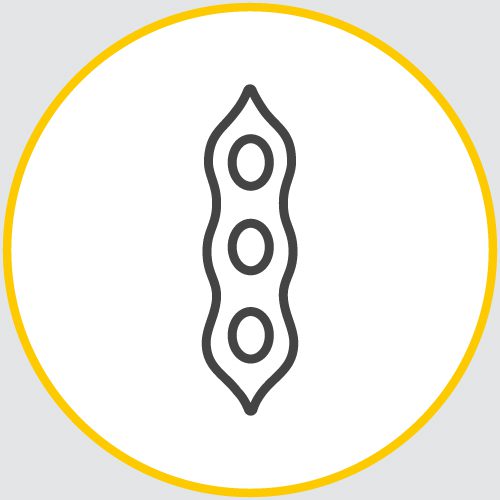 a drawing of the outline of a soybean encased in a yellow circle